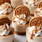 Mini Vegan Biscoff Cheesecakes