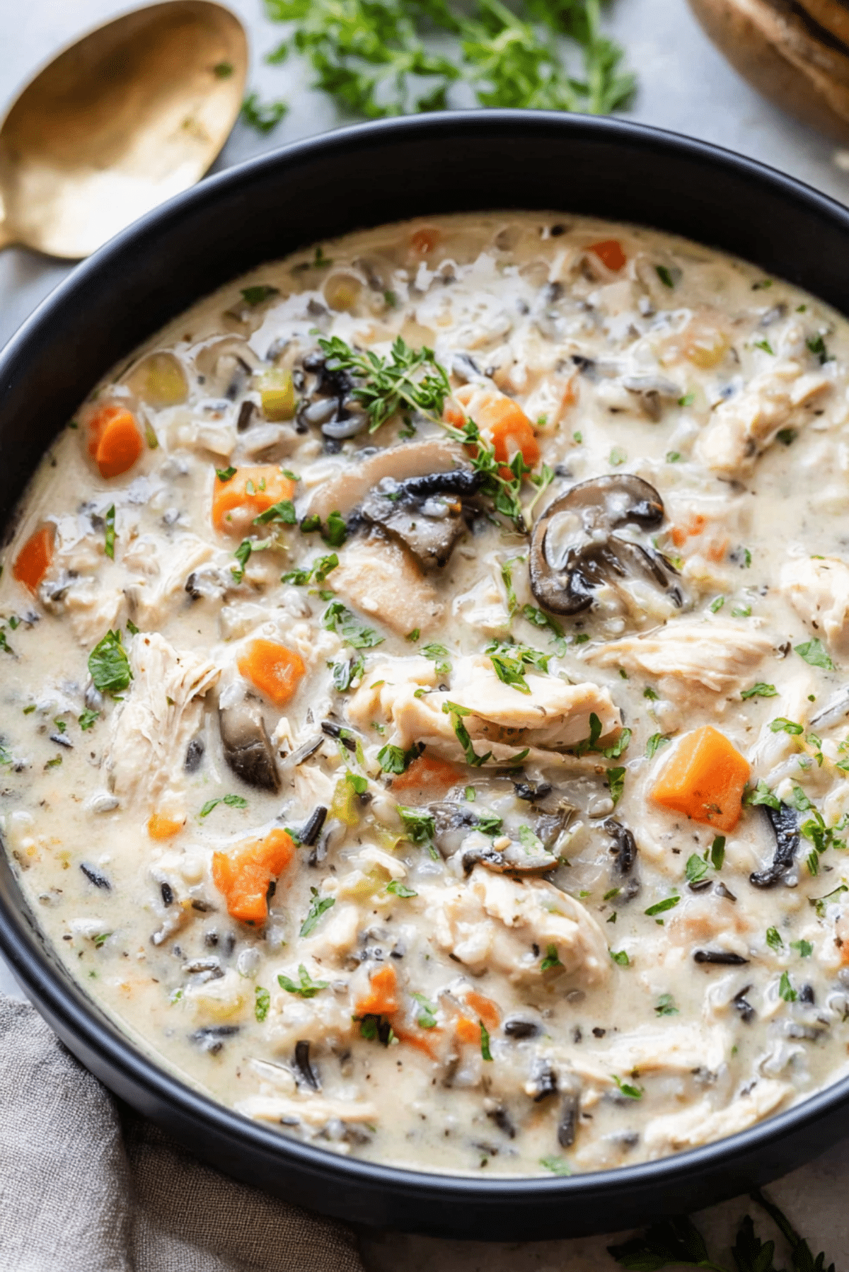 Crock Pot Chicken Wild Rice Soup