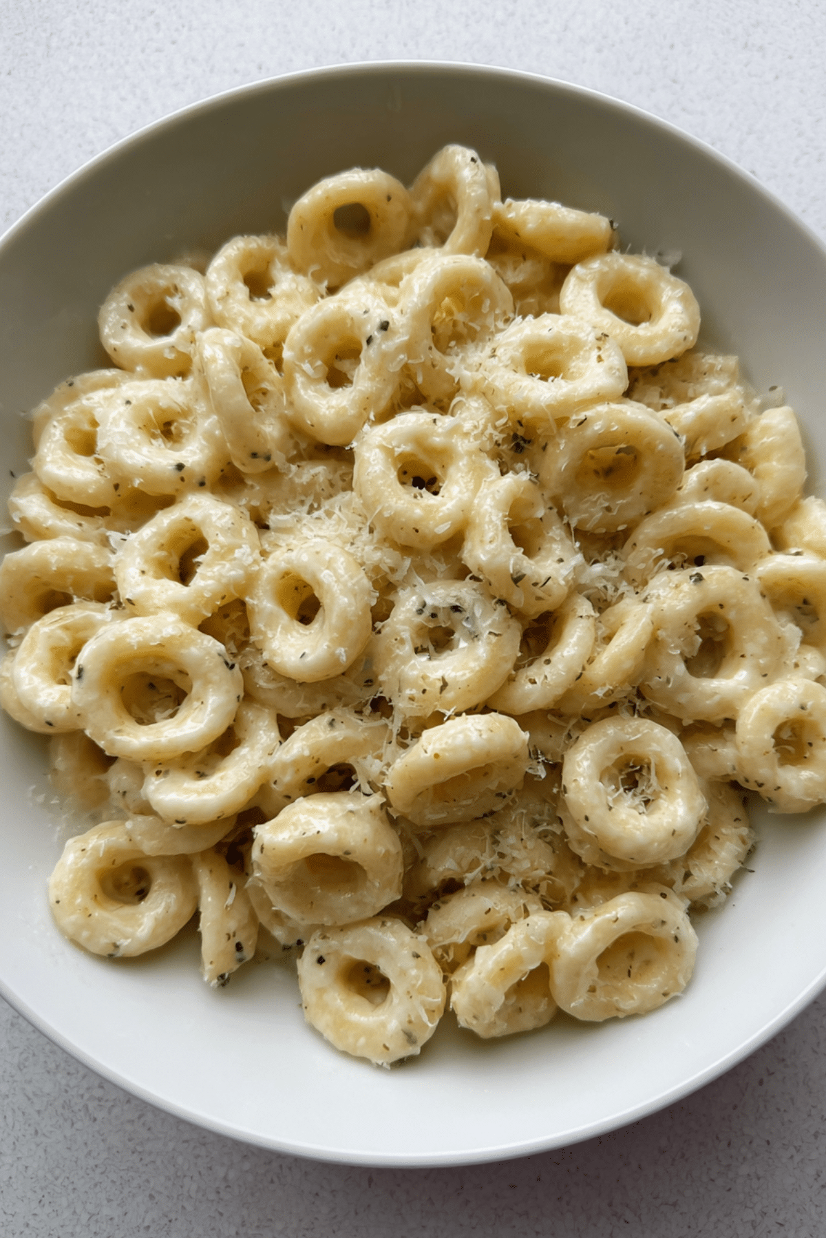 Alfredo Spaghettios