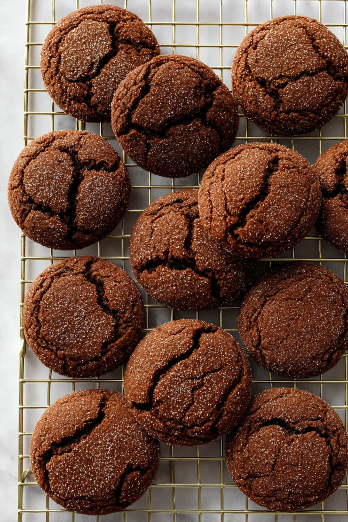 Chocolate Snickerdoodles